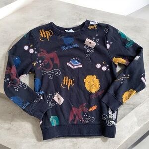 H&M Kids Harry Potter Themed Sweatshirt - Black, Gold, Red, Blue
